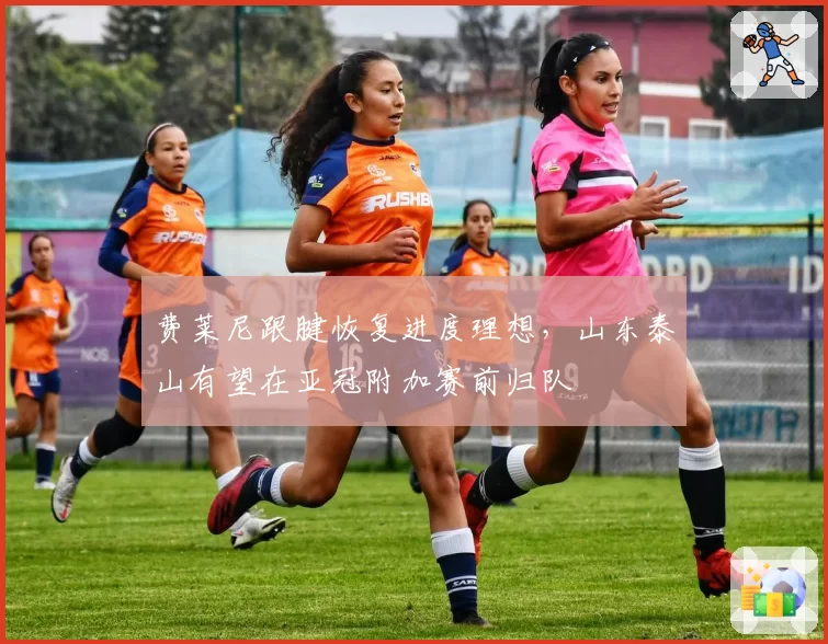 费莱尼跟腱恢复进度理想，山东泰山有望在亚冠附加赛前归队