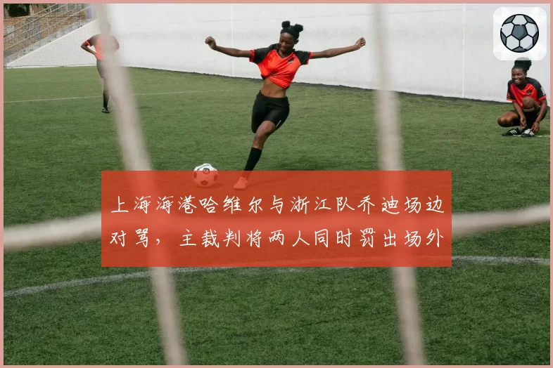 上海海港哈维尔与浙江队乔迪场边对骂，主裁判将两人同时罚出场外